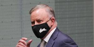 Liberals question Albanese’s Rabbitohs tip-off on COVID isolation laws