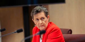 Rosemary Huxtable has delivered the 10-year national strategy.