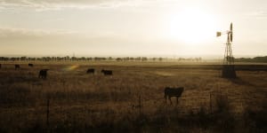 Queensland's rural debt balloons to $17.24 billion