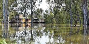 River levels in Echuca continue to rise.