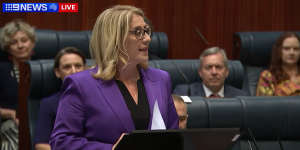 Treasurer Rita Saffioti gives her first budget speech.