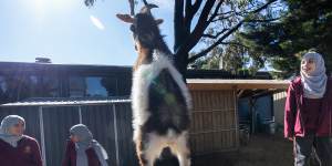 How a school with farm animals achieved some of Victoria’s highest VCE scores