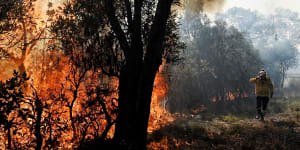 Hazard reduction burns cause poor air quality in parts of Sydney