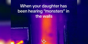 A three-year-old complained there was a monster in her wall. It turned out to be a beehive.