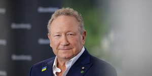 Andrew Forrest,chairman of Fortescue Metals Group Ltd