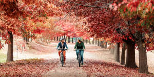 Cycling the Murray to Mountains Rail Trail.