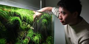 Aquascaping enthusiast Kevin Chuang