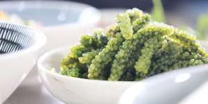 The Fijian delicacy known as “nama”,or sea grapes.