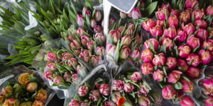 Everyone seems to want flowers this Mother’s Day,but at what price?