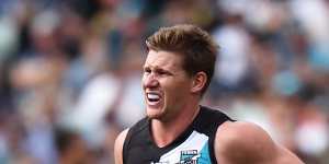 Port Adelaide's Matt White set to miss 12 weeks as round one AFL injury toll mounts
