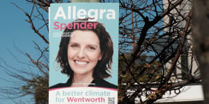 Allegra Spender ordered to remove unlawful campaign signs in Wentworth