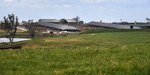 The Perich family's large farm is next to the site of the new airport in western Sydney.