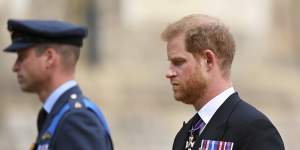 Prince Harry’s memoir a ‘beautiful read’ not a takedown,say insiders