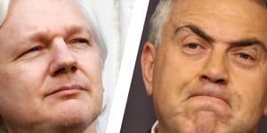 Government right to avoid megaphone diplomacy on Assange,Joe Hockey says