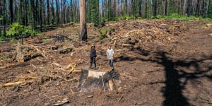Activists Owen Hanson (left) and Chris Schuringa in a logged coupe near Congerah in 2020.