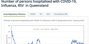 The number of people hospitalised with COVID-19,influenza and RSV in Queensland from January 1,2023 to February 19,2024.