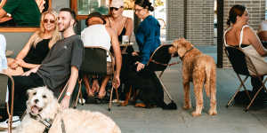 Bar hounds outside The Rocket Society.