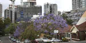 High-density residential developments in Crows Nest on Sydney’s lower north shore.