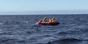 Authorities free whale entangled off Port Kembla