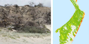 Burnt east coast dune vegetation on K’gari (Fraser Island) in the months after bushfire swept the island in late 2020,and a map of the Potential Ecological Impact highlighting “catastrophic” classified areas in red.