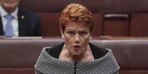 Senator Pauline Hanson said the government had agreed to One Nation's demand to legislate a definition of academic freedom as part of its higher education reforms.