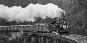 From the Archives,1962:Puffing Billy makes triumphant comeback