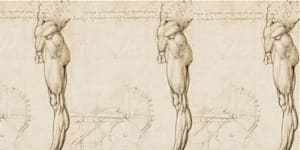Leonardo da Vinci’s anatomical sketches from the 1500s.
