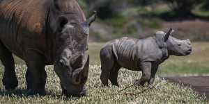 The Age photos of the week,October 19,2024