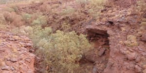 Before it was destroyed by Rio Tinto,the Juukan Gorge in WA held evidence of human habitation dating back 46,000 years.