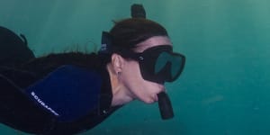James Cook University marine biologist Jodie Rummer at work on the Great Barrier Reef. She has witnessed previous bleaching and described it as “scary and disturbing”.