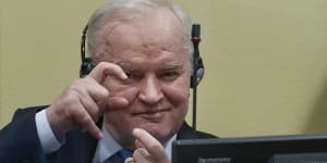 ‘Butcher of Bosnia’ Ratko Mladic loses genocide appeal in UN court