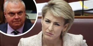 Acting Industrial Relations Minister Michaelia Cash only changed the rules for casual employment with the support of Centre Alliance senator Stirling Griff.