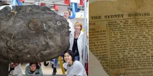 Not your usual news outlet:This Sydney Morning Herald fragment dated January 26,1883,was found inside a sunfish.