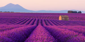 Provence. France will steal your soul.