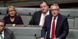 Wayne Swan gets plum new job on government energy board