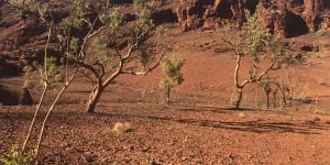 The view from a rock shelter excavated by the Eastern Guruma people in the path of an expansion of Fortescue’s Queens mine.
