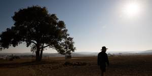 Farmland ravaged by drought in 2019.