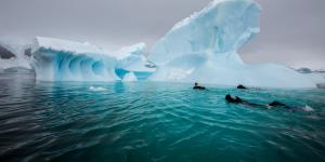 Polar snorkelling is one of the most unique ways to experience Antarctica.