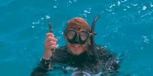 After several free diving attempts to help the manta ray,Mr Wilton rises triumphantly from the ocean hook in hand. 