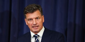 Opposition Leader Angus Taylor.
