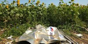 Transport organiser of missile that shot down MH17 in jail,says Ukraine