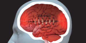 The Senate inquiry is investigating how sports at all levels handle concussion.