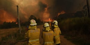 Hundreds of cyber attacks aimed at accessing bushfire funds,says Red Cross