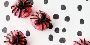 Redback spider cupcakes.