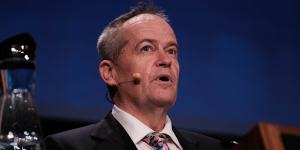 Government Services Minister Bill Shorten has raised questions about his Liberal predecessor’s conduct.