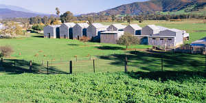 Kilns near Myrtleford.