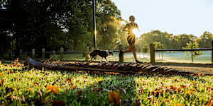 A jogger runs with her dog at Carlton’s Princes Park on the first day of winter.