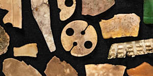 This mosaic shows the plastic found in the stomach of a single bird,a fledgling in 2023.