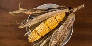 Buttered corn on the cob served in its husk.