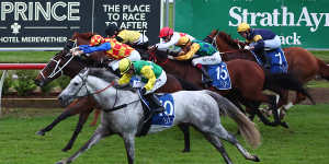 Sir Ravaneill stretches out to charge to victory at Newcastle last month.